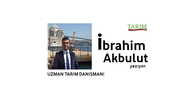 Tarım ve İthalat İhracat