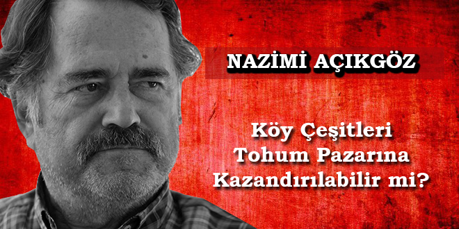 Köy Çeşitleri Tohum Pazarına Kazandırılabilir mi