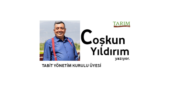 Gıda Krizi Bağıra Çağıra geliyor Ukrayna Rusya Savaşının Etkileri