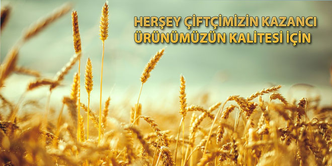 8 YENİ BUĞDAY DENEMESİ BAŞLATILDI