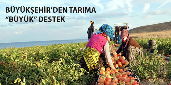 BÜYÜKŞEHİR DEN TARIMA BÜYÜK DESTEK
