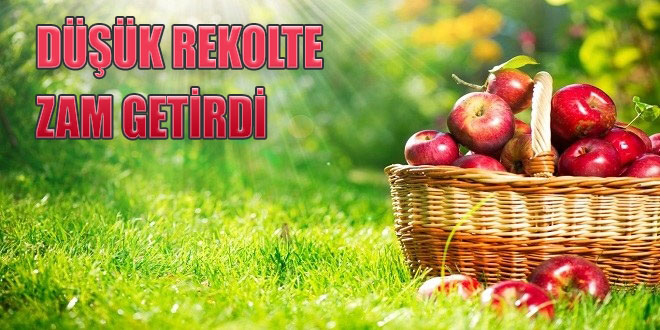 DÜŞÜK REKOLTE VE İHRACAT ELMAYA ZAM OLARAK YANSIDI