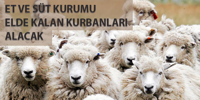 ELDE KALAN KURBANLIKLARI ET VE SÜT KURUMU ALACAK