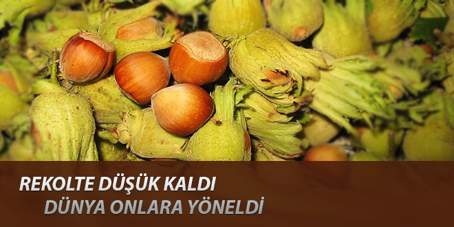 Dünya ucuz fındığa yöneldi