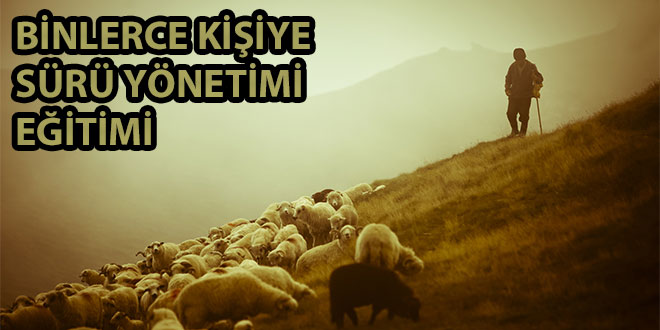 3 BİNİ AŞKIN KİŞİYE SÜRÜ YÖNETİMİ EĞİTİMİ VERİLDİ