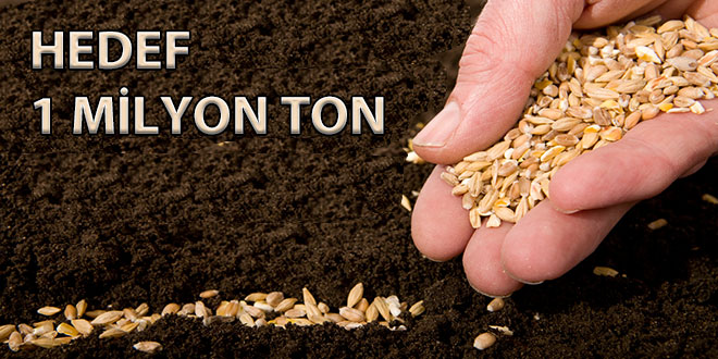 Tohumda Hedef 1 Milyon Ton