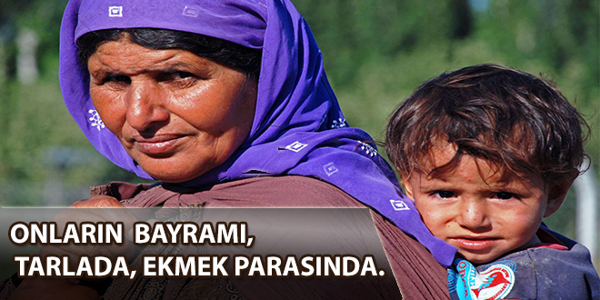 Tarlada bayram yaptılar