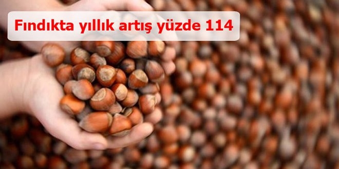 FINDIKTA YILLIK ARTIŞ YÜZDE 114