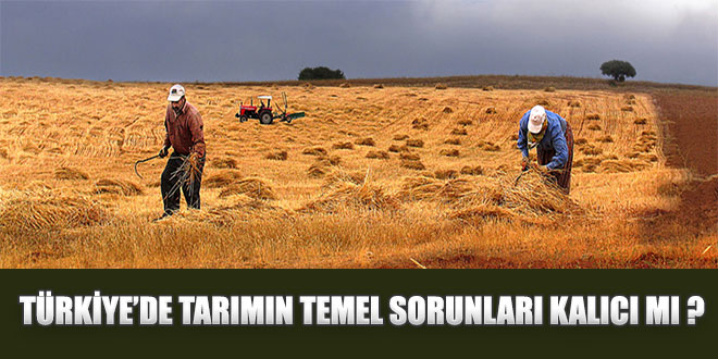 TÜRKİYE DE TARIMIN TEMEL SORUNLARI KALICI MI