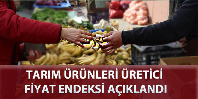 TARIM ÜRÜNLERİ ÜRETİCİ FİYAT ENDEKSİ AÇIKLANDI