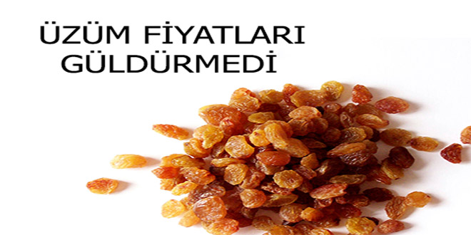 Kuru Üzüm Üreticinin Elinde Kaldı