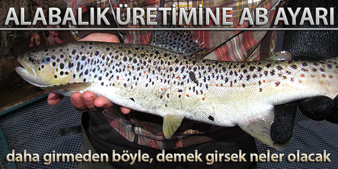 ALABALIK ÜRETİMİNE AB AYARI