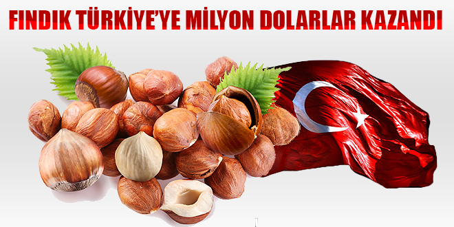 FINDIK TÜRKİYE YE MİLYON DOLARLAR KAZANDI