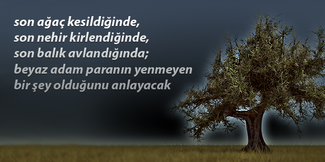 Bursa da son 6 ayda binlercesi kesildi