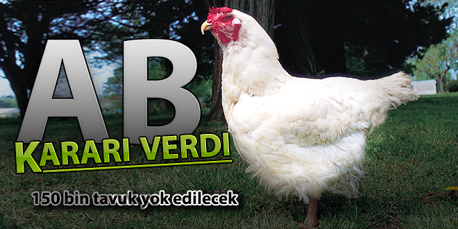 AB KARARI VERDİ