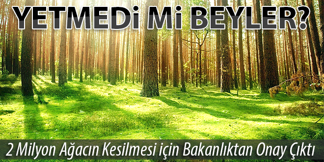 2 MİLYON AĞACIN KESİLMESİ İÇİN BAKANLIKTAN ONAY ÇIKTI