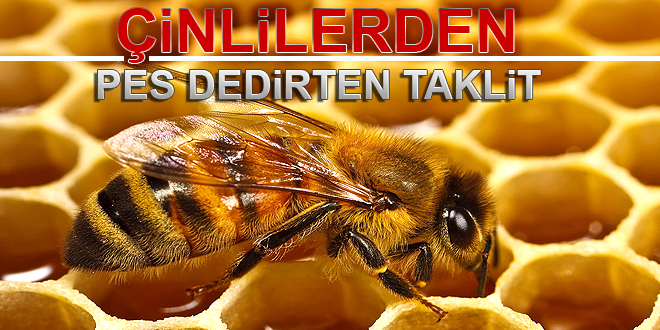 Çinlilerden pes dedirten taklit