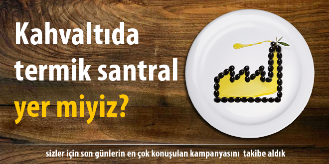 TÜRKİYE NİN ZEYTİNLİKLERİNİN ÖLÜM FERMANINA HAYIR