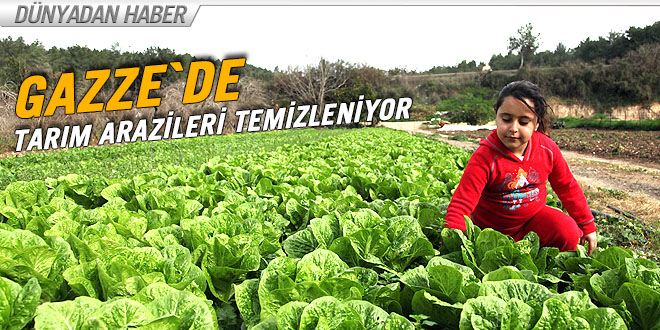 GAZZE DE TARIM ARAZİLERİ TEMİZLENİYOR