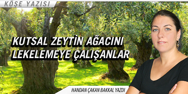 KUTSAL ZEYTİN AĞACINI LEKELEMEYE ÇALIŞANLAR