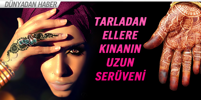 Tarladan ellere kınanın uzun serüveni