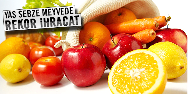 YAŞ SEBZE MEYVEDE REKOR İHRACAT