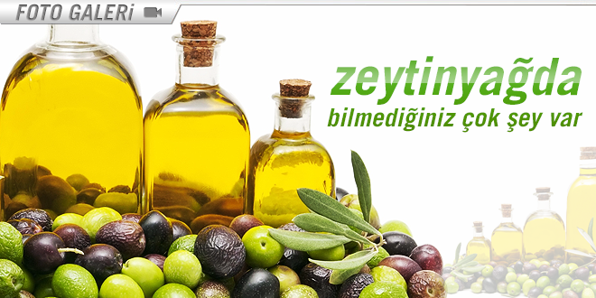 ZEYTİNYAĞI HAKKINDA BİLMENİZ GEREKENLER