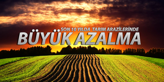 TARIM ARAZİLERİ SON 10 YILDA 2 8 MİLYON HEKTAR AZALDI