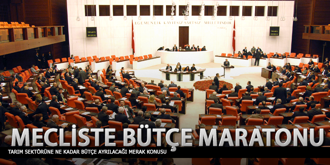 Mecliste bütçe maratonu