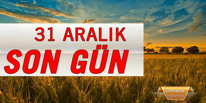 31 aralık son gün