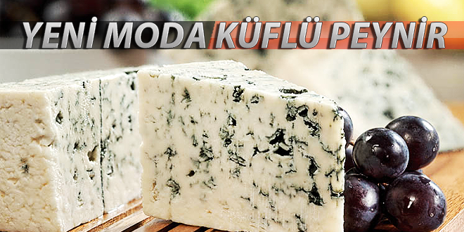 Yeni Moda Küflü Peynir
