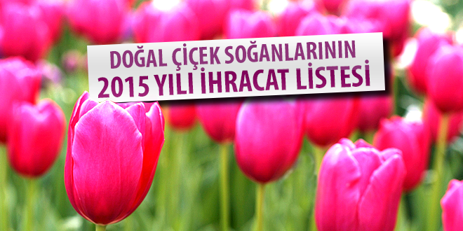 DOĞAL ÇİÇEK SOĞANLARININ 2015 YILI İHRACAT LİSTESİ