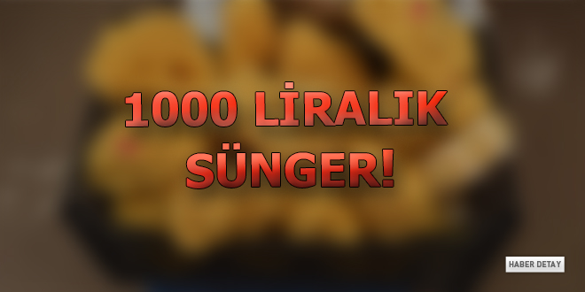 1000 liralık sünger