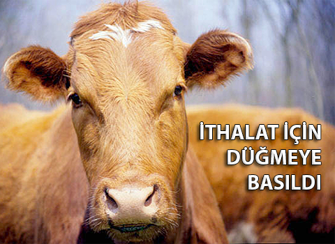 İthalat İçin Düğmeye Basıldı