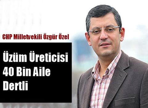 Üzüm Üreticisi 40 Bin Aile Dertli