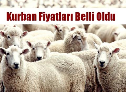 Kurban Fiyatları Belli Oldu
