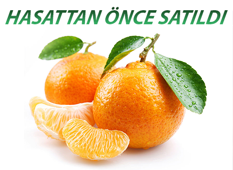 Mandalina Dalında Satıldı