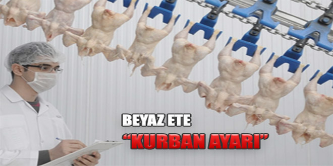 Beyaz Ete Kurban Ayarı