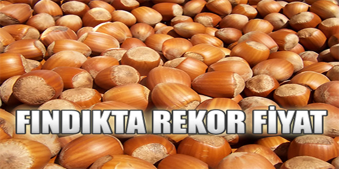 Fındıkta rekor fiyat