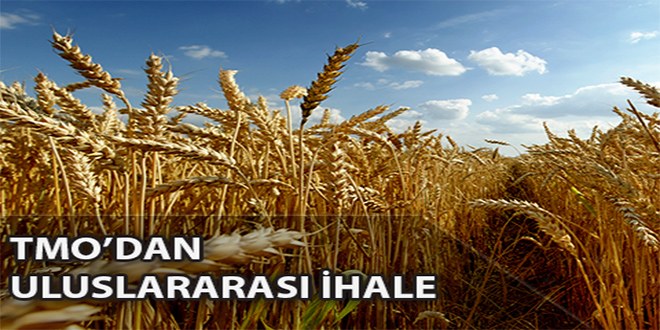 TMO dan Uluslararası İhale