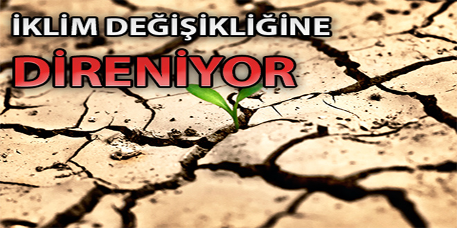 İklim Değişikliğine Direniyor