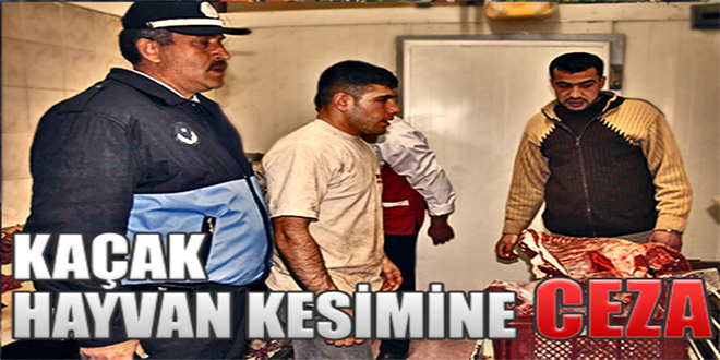 Kaçak Hayvan Kesimine Ceza Geliyor