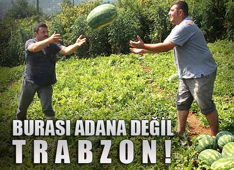 BURASI ADANA DEĞİL TRABZON