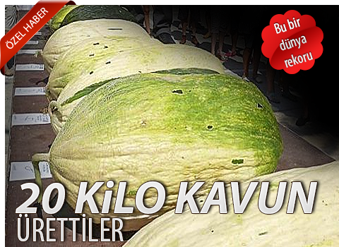Kavun Rekoru Kırıldı