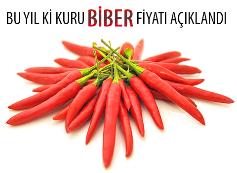 Bu yıl ki biber fiyatı açıklandı