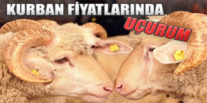 Kurbanlık Hayvan Fiyatlarında Büyük Fark