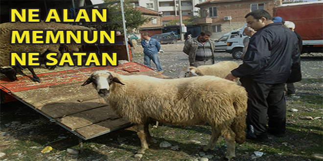 Ne alan memnun ne satan