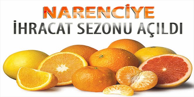 Narenciye İhracat Sezonu Açıldı
