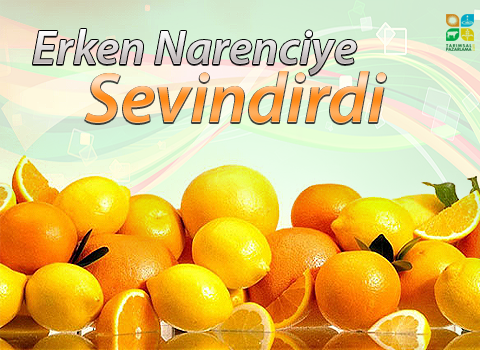 Erken Narenciye Sevindirdi