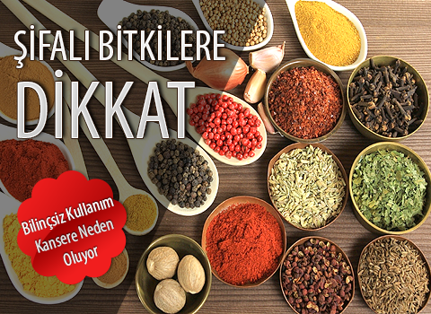 Şifalı Bitkiler Dikkat